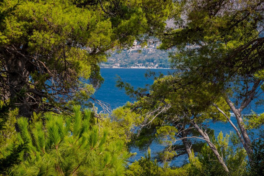 Apartment Dora Cavtat Eksteriør billede